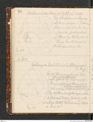 Seite 96, Tagebuch "Palästina (Tagebuch)" (NHMW-PRAE-BBB-80)